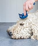Mikki Hunde- und Welpen-Fellpflege-Starterset aus Edelstahlkamm und Slicker-Bürste mit harten Borsten, für Pudel-Kreuzungen wie Cockapoos, Labradoodles, Cavapoos, Maltipoos und Golden Doodles, Blau
