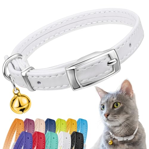 CollarDirect Collier pour Chat en Cuir avec Sangle Elastique et Cloche - Sécurité pour Chaton - Noir, Bleu, Rouge, Orange, Vert Lime (Blanc, 20-28 cm)