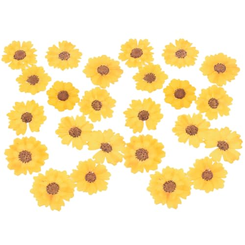 Marcador de flores secas decorativas OHPHCALL