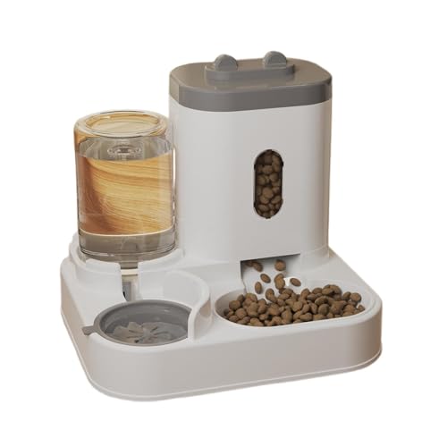 a L ݊ 2in1 d͎ dsv  ֗  ^Lp (O[)