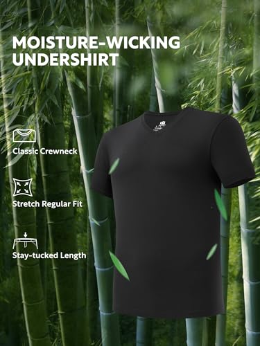 View 5