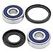 All Balls 25-1312 Wheel Bearing and Seal Kit