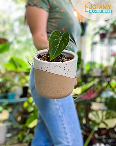 Jofamy Ceramic Pots For Indoor Plants, 2 Set Flower Pots 5.4/4.3 Inch With Drainage, Double Color Glazed Speckled White & Terracotta Bottom Ceramic Planter Idea For Plant Lovers #TOP2