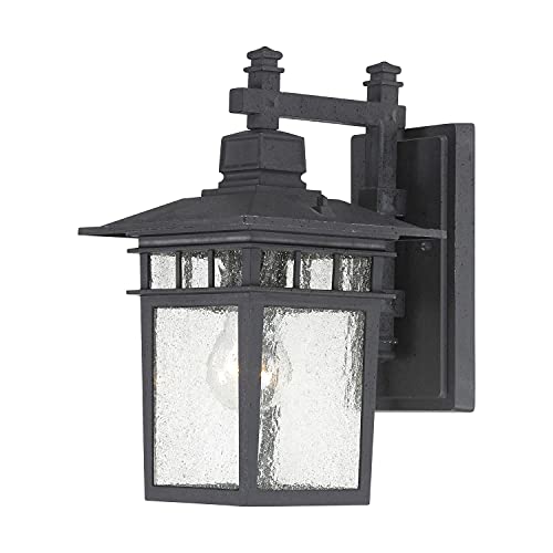 Image of Nuvo Lighting 60 /4953 Traditional One Light Outdoor Wall Mount from Cove Neck collection in Black finish