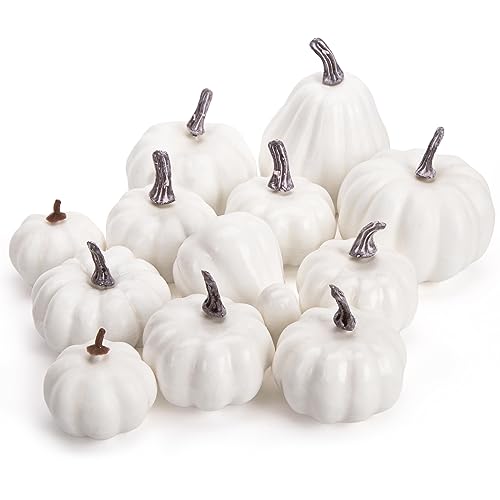 DomeStar 12PCS Artificial White Pumpkins, Assorted Sizes Fake Pumpkins Faux