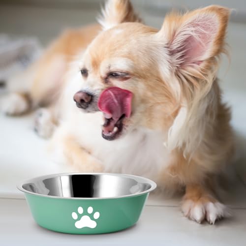 2 Stück Edelstahl Fressnapf Hund 860ml, Hundenapf Kleine Hunde, Futternapf und Trinknapf mit Rutschfestem Silikonboden für Kleine Mittelgroß Hunde und Katzen