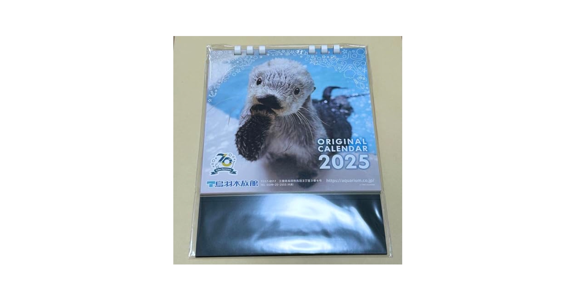 Amazon.co.jp: 鳥羽水族館 カレンダー 2025 ラッコ メイちゃん