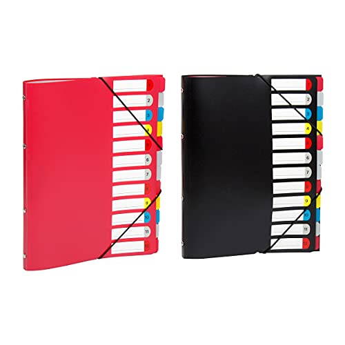 Trieur A4 12 compartiments Viquel Essentiel chemise à soufflet pour rangement bureau