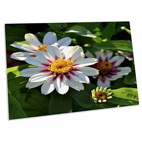 3dRose Patricia Sanders Flowers - Pad grande de escritorio