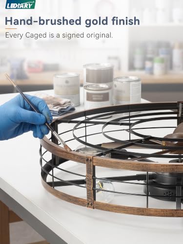 Image of LEDIARY 30 inch Caged Low Profile Ceiling Fan with Light and Remote Black Gold