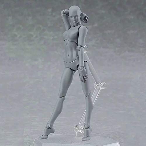 COLOR-LILIJ Drawing Figures for Artists Action Figure Model Human Mannequin Man and Woman Set,with Accessories Kit for Sketching, Painting, Drawing, Artist