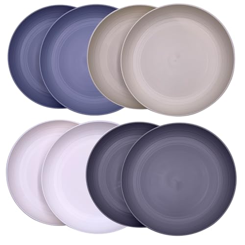 AOYITE 8 inch Plastic Plates Reusable, Unbreakable Plastic Dinner Plates set of 8, BPA Free Dishwasher Safe & Microwave Kids Hard Plates for Kitchen Lunch Party Outdoor (Grey Stone)