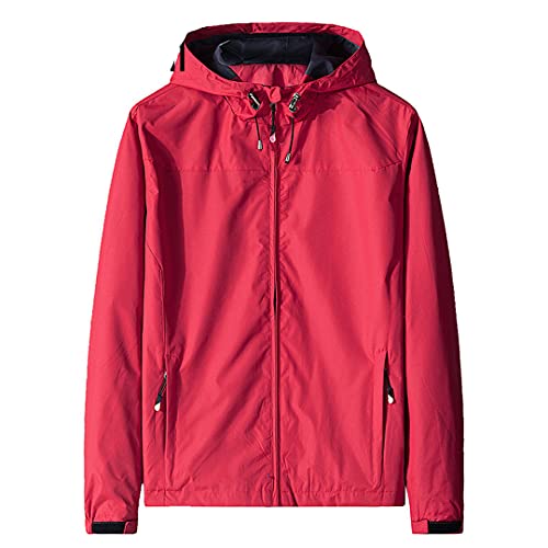 Armani Exchange Men's Milano NY Cotton Hooded Sweatshirt, Peat