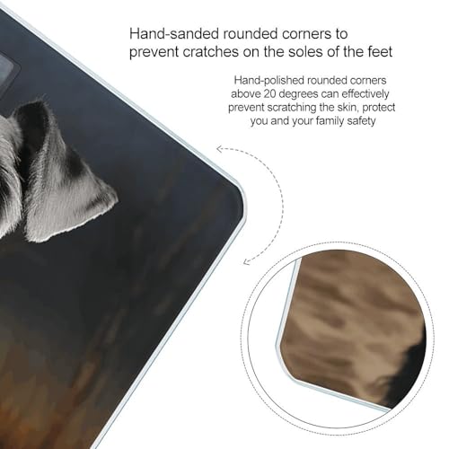 Báscula digital para baño Animal Schnauzer 26x26 cm miniatura 4
