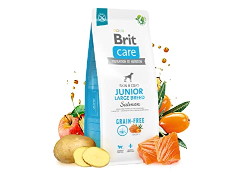 Dry food for young dog (3 months - 2 years) large breeds over 25 kg - Brit Care Dog Grain-Free Junior Large salmon 3kg