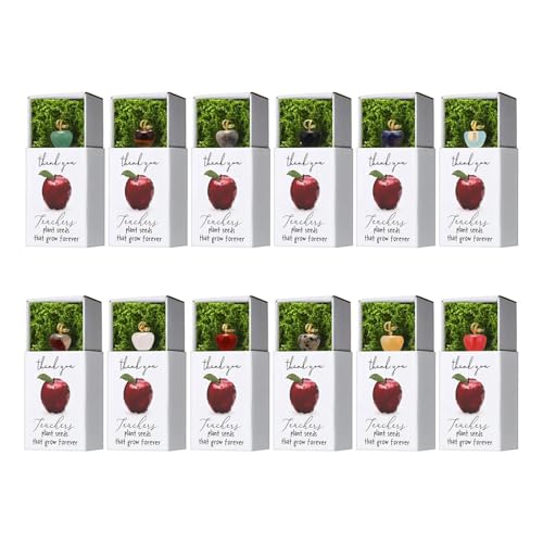 Souvenir pour enseignants en forme de fruit pour dire merci lors d'un anniversaire scolaire