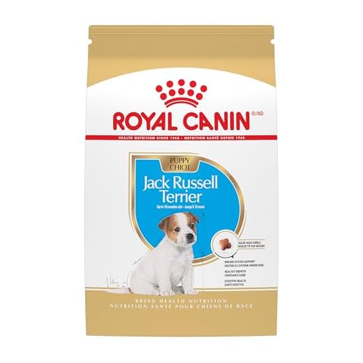 Royal Canin Breed Health Nutrition Jack Russell Terrier Puppy Dry Dog Food, 3 lb Bag