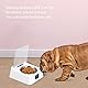 Fockety Automatischer Katzenfutterautomat, 350 ml, intelligenter automatischer Futterautomat mit Edelstahlnapf, 0,5-1 m Infrarot-Erkennungsabstand, Tierfutterspender für Hunde und Katzen