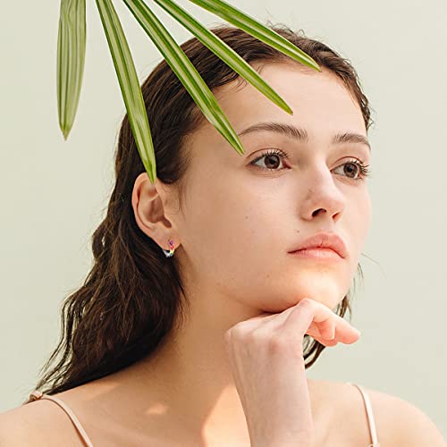 Rainbow Hoop Earrings 925 Sterling Silver Colorful Huggie Hoop Earrings Jewelry Gift for Women2