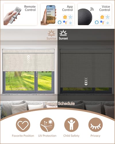 Smart home Alexa hub