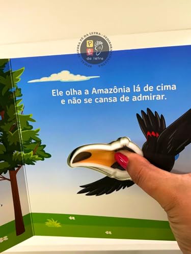 Coleção Som e Diversão - Tucano: Coleção Som e Diversão - Tucano: - Imagem 5