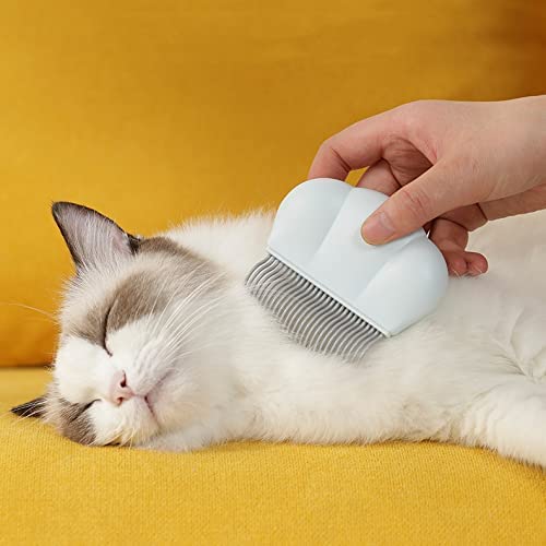 Taiyo Pluss Discovery® Shell Type Pet Comb for Grooming and Deshedding, Suitable for dogs, cats and other small animals (Size : 9 cm X 8 cm) (Colour May Vary) 1
