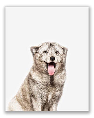 Crystal Canvas Baby Arctic Animals Poster Prints - Set Of 6 (8X10) Adorable Furry Portraits Wall Art Nursery Decor - Siberian Husky - Killer Whale Orca - Arctic Fox - Seal - Penguin - Polar Bear #TOP4