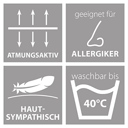 Traumnacht Green Basis Bettenset bestehend aus Einer leichten Sommerbettdecke, 135 x 200 cm + Kopfkissen 80 x 80 cm, Öko-Tex Zertifiziert, produziert nach deutschem Qualitätsstandard