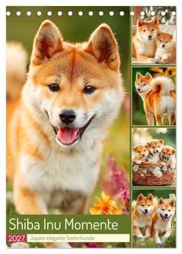 Shiba Inu Momente. Japans elegante Seelenhunde (Tischkalender 2027 DIN A5 hoch), CALVENDO Monatskalender: Stimmungsvolle Bilder, die den Charme und ... schönen Hunde einfangen (CALVENDO Tiere)