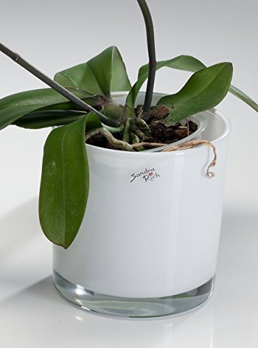 Sandra Rich 3X Glas White Emotion farbig Blumentopf Übertopf Blumenübertopf weiß 14 cm