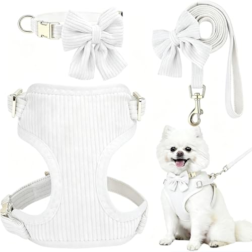 Bowtie Harness & Leash Set for Small Dogs (M, Cotton, Back-Clip)