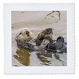 Square dimensions (in inches): 6 L x 6 W, image dimensions (in inches): 4 L x 4 W 100% poloyester; image is soft to touch. Made in USA Edges have pinking shear cut Image will not fade with washing. Image not a transfer, part of material