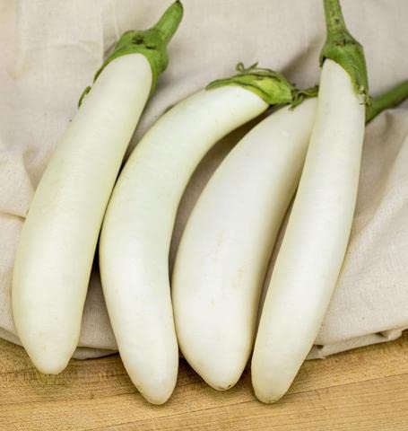 PLANTOGALLERY Vegetable Seeds | Brinjal White Long F1 Hybrid Seeds For Home Gardening (60 seeds pack) (B09BG1HWVP) Amazon Price History, Amazon Price Tracker