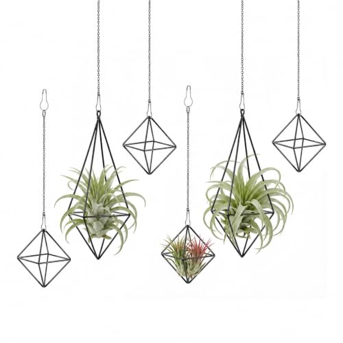 Yuanan 6 PCS Air Plant Hanger, Air Plant Holder Geometric Metal Airplant Holder Hanging Tillandsia with Chains, Home Decor, Balcony Planting and DIY Art for Small Indoor Plants-2 Size
