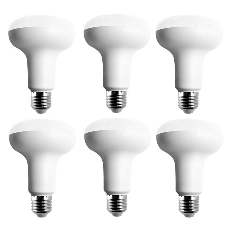 R80 Light Bulb 75w, E27 LED Bulbs 10w Energy Saver Bulb, 800 Lumen, Non-Dimmable (Warm White 3000K, 6 Pack)