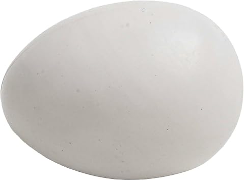 Realistic Simulation 12 Pigeon Eggs Made of Solid Plastic to Support Safe Hatching Practices in Birds