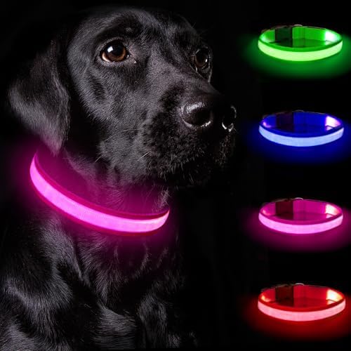 Nepfaivy Leuchthalsband Hund USB Aufladbar - Hundehalsband Leuchtend mit Verstellbarer Länge für Mittelgroße bis Große Hunde, LED Halsband Hund mit 3 Beleuchtungsmodi für Nacht Sic