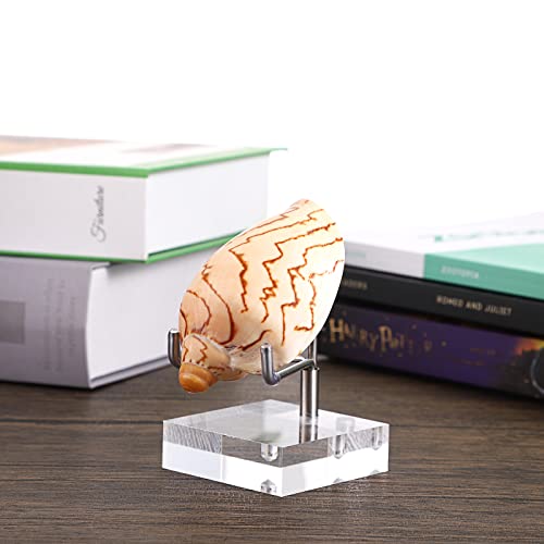 Hipiwe Adjustable Metal Arms Display Stand Easel With Acrylic Base Small Display Easel Holder For Fossil Coral Geodes Rock Mineral Agate Crystals Seashell And Small Collectibles, 2X2X3.1 Inch #TOP5