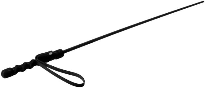 Mistress by Isabella Sinclaire Intense Impact Cane, Black