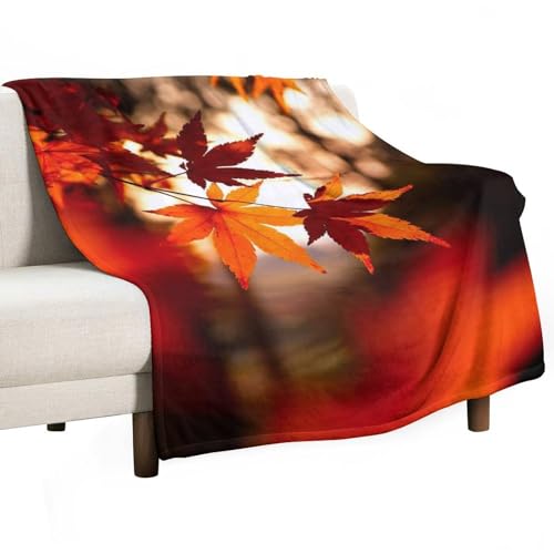 ѕz 唻 H [v̗t gt uPbg 150x200cm 60x80in  tl  􂦂  ӂӂ _炩ȔG zM RpNgł ӂy yĒg R hLH | ~ 