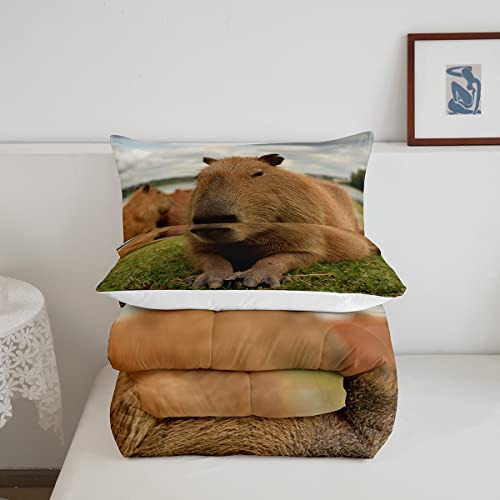 Erosebridal Capivara edredom inserção tamanho solteiro, conjunto de edredom engraçado animais capiva