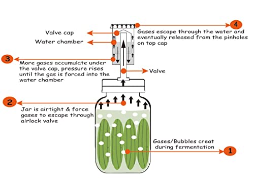 Jillmo Fermentation Kit, Stainless Steel Fermenting Kit For Wide Mouth Mason Jars (Jars Not Included) #TOP3