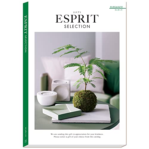 n[jbN J^OMtg ESPRIT (GXv) GKX 4,000~R[X