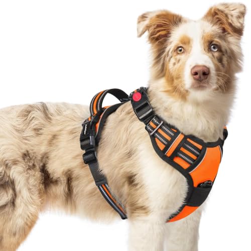Dog Harness