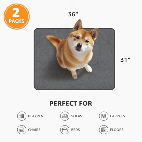 Image of Dog Pee Pad Washable-Extra Large Instant Absorb Training Pads Non-Slip Pet Playpen Mat Waterproof Reusable Floor Mat for Puppy /Senior Dog Whelping Incontinence Housebreaking (31 inchx36 inch-(2PACK))