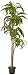 Nearly Natural 6596 6ft. Dracaena Silk Plant (Real Touch)