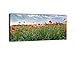 Produktbild wandmotiv24 Leinwandbild Panorama Nr. 401 Blumenwiese 100x40cm, Keilrahmenbild, Bild auf Leinwand, Feld Sommer Blüten