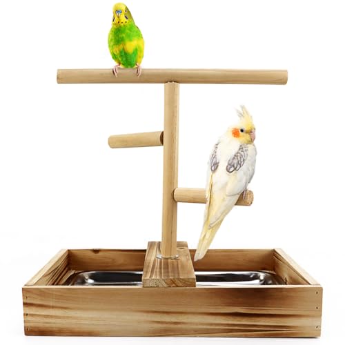 Image of Bird Perch Stand with Removable Tray, Natural Wood Parrot Playground, Tree Perch Platform Play Gym for Cockatiel Budgie Parakeet Conure