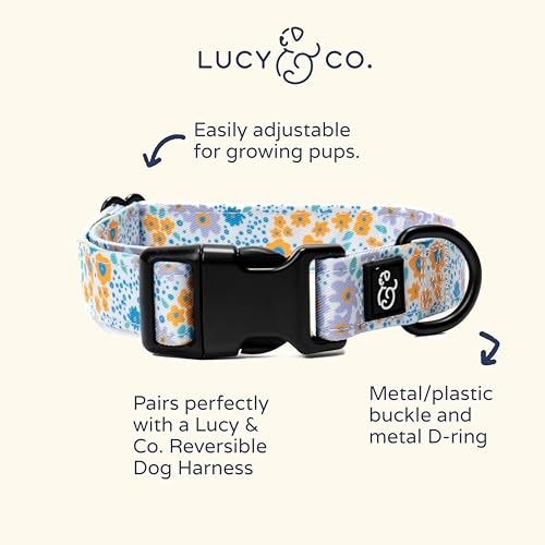 Collier pour chien robuste avec boucle métal réglable M