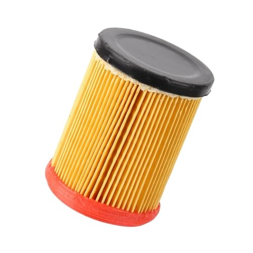 Cartouche papier de filtre pour kart et vélo de plage Big Bull 200cc avec tuyau antichoc